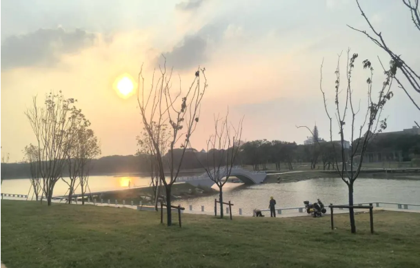 1761882473213975.png image.png